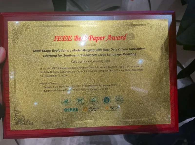 Certificate for IEEE DSS 2024